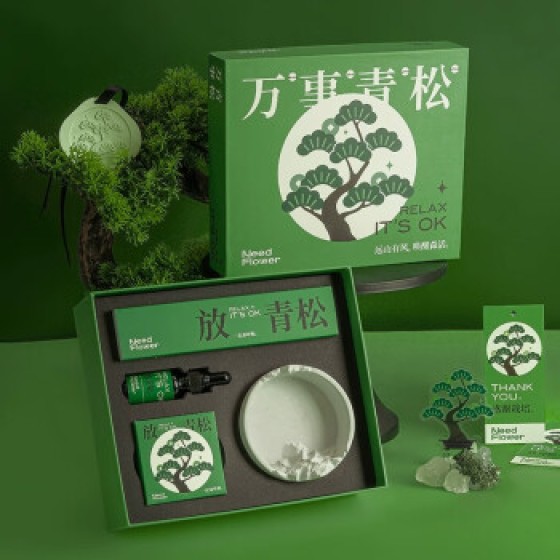 红笙万事青松香薰礼盒放轻松摆件生日礼物男士实用文创高级小众礼品 k203-空山新雨【礼盒装】 收藏