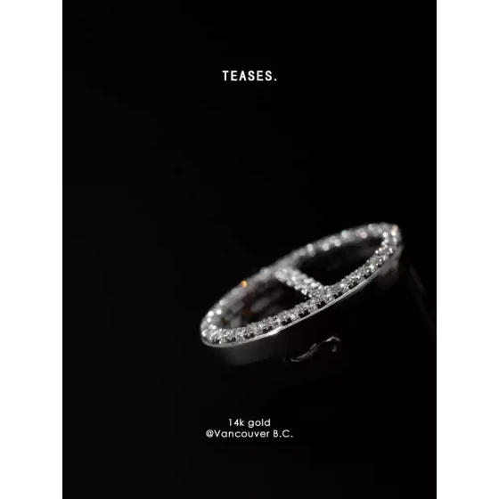 Teases戏玲珑 大钻石猪鼻系列 / H Deco白金同心锁耳钉&吊坠耳环